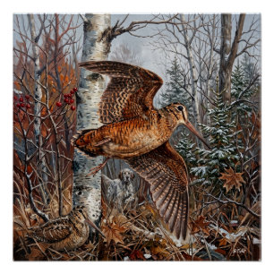 Waldschnepfenjagd Poster