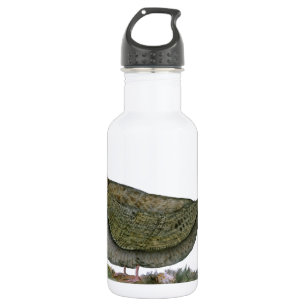 Waldschnepfevogel, tony fernandes edelstahlflasche