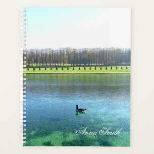 Waldsee. Gänse auf Wasser. Planer