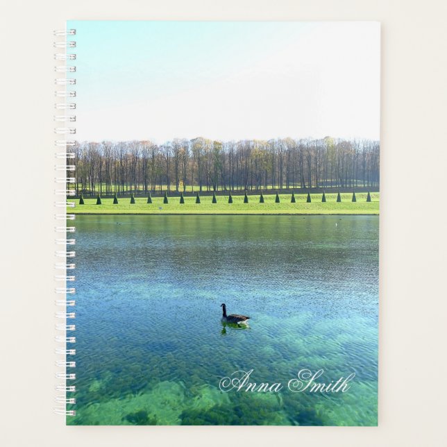 Waldsee. Gänse auf Wasser. Planer (Vorderseite)