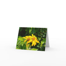 Waldsonnenblumen - Begrüßung