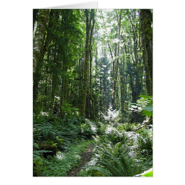 Waldspaziergang (Vorne)