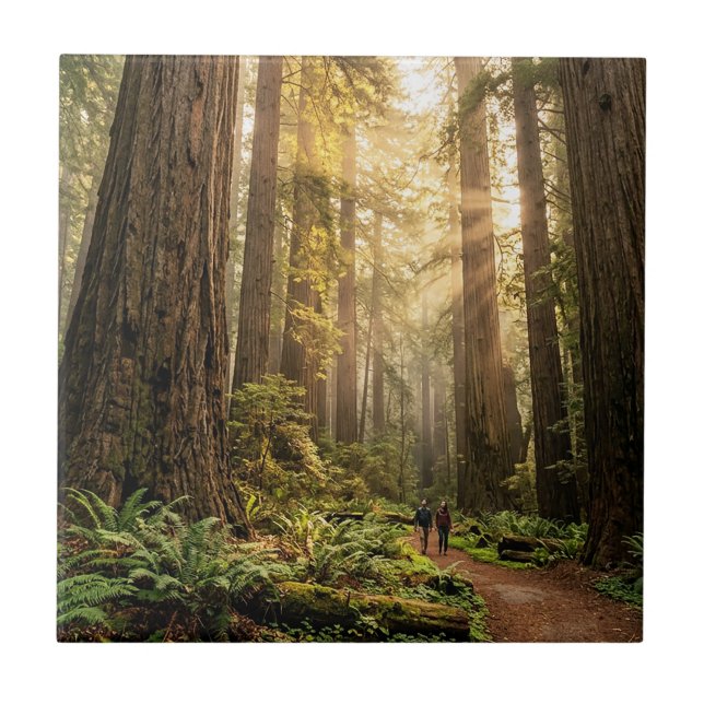 Waldspaziergang Fliese (Vorderseite)