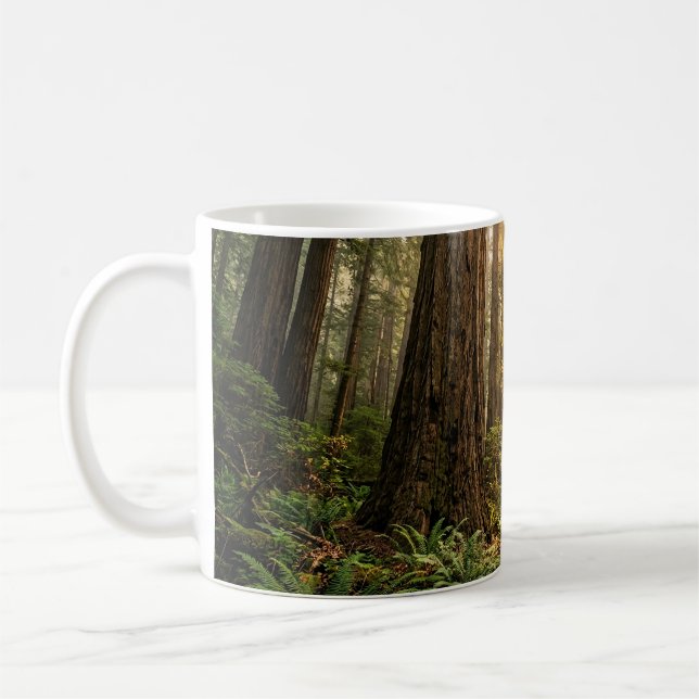 Waldspaziergang Kaffeetasse (Links)