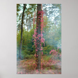 Waldstimmung Poster