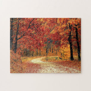 Waldstraße - Fall - Schöner Herbst Puzzle