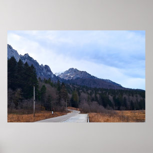 Waldstraße Landschaft Wilde Natur Rumänien Poster
