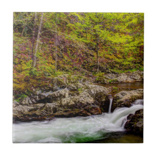 Waldstrom in Great Smoky Mountains Fliese