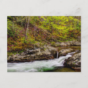 Waldstrom in Great Smoky Mountains Postkarte