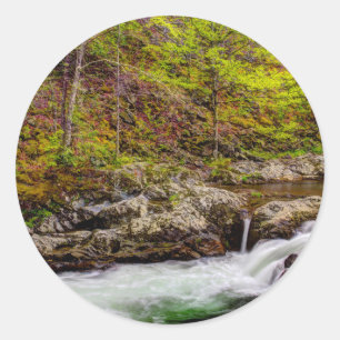 Waldstrom in Great Smoky Mountains Runder Aufkleber