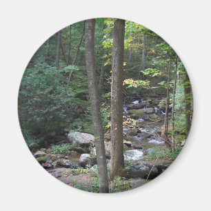 Waldstrom-Magnet Magnet