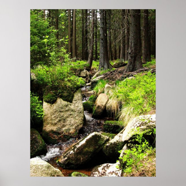 Waldstrom Poster (Vorne)