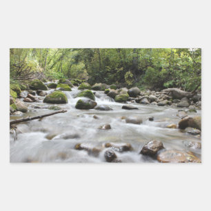 Waldstromaufkleber Rechteckiger Aufkleber