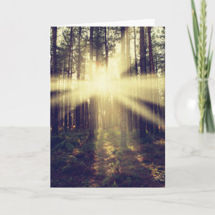 WaldSunbeams Karte