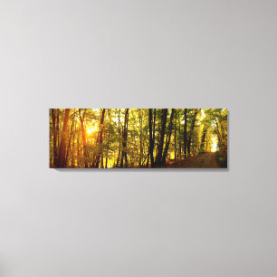 Waldsunrise Leinwanddruck