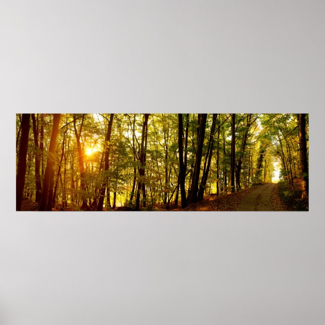 Waldsunrise Poster (Vorne)