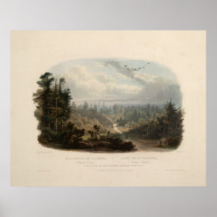 Waldszene auf Tobihanna, Alleghany Mountains Poster