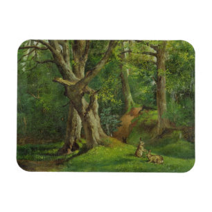 Waldszene mit Kaninchen, 1862 (Öl auf Leinwand) Magnet