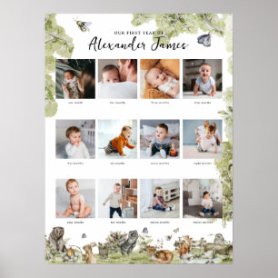 Waldtiere   1. Jahr, 12. Monat der FotoCollage Poster