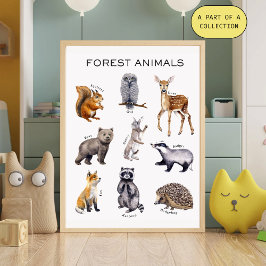 Waldtiere Lehrposter Poster