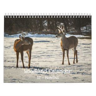Waldtiere Natur Kalender