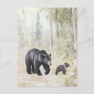 Waldtiere Postkarte