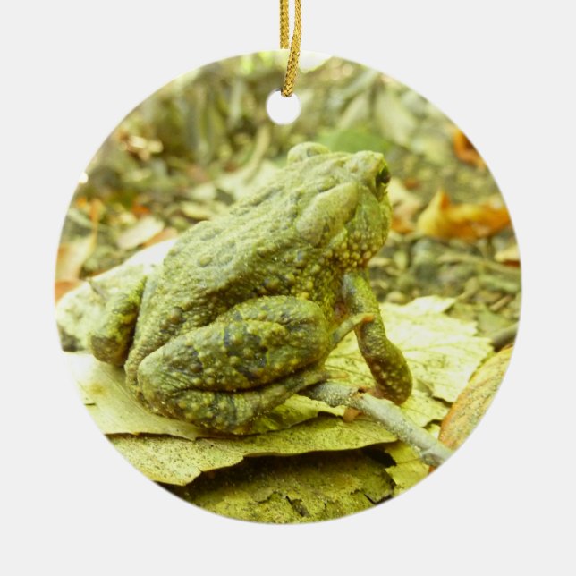 Waldtoad Keramik Ornament (Vorne)
