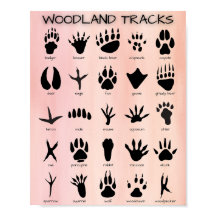 Waldtracks Poster