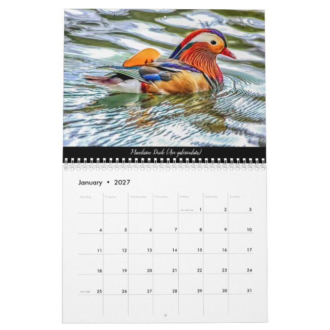 Waldvögel im Dezember 2021 - Kalender (Jan 2027)