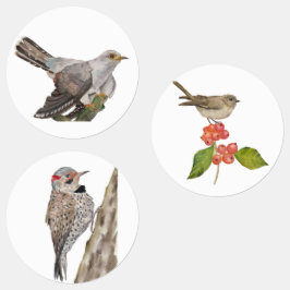Waldvögel in Aquarellen Etiketten