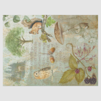 Waldwälder Wildtierquichhörnchen, Owl, Decoupage Seidenpapier