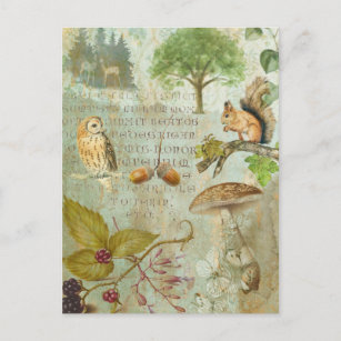 Waldwälder Wildtierquirrel, Owl, Autumnal J Postkarte