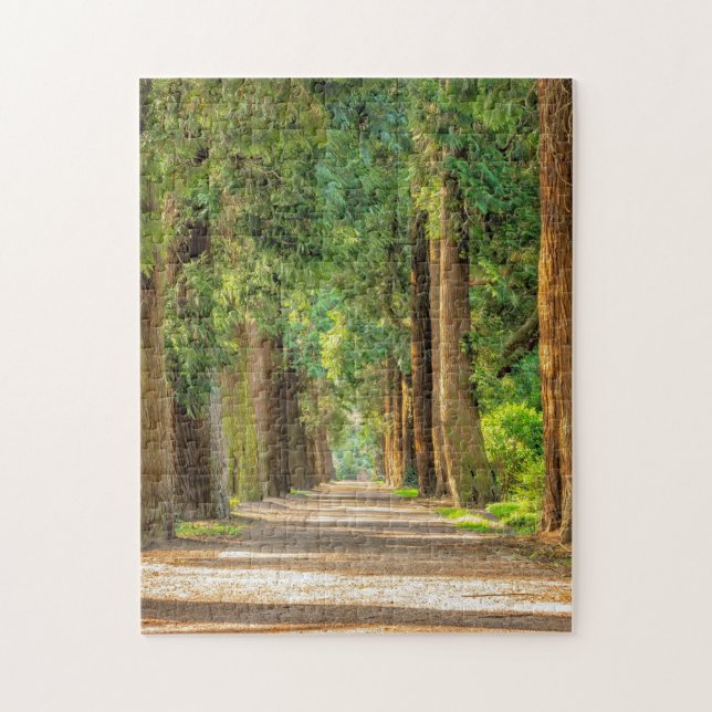 WALDWALDTRAINQUIL TRAIL JIGSAW PUZZLE (Vertikal)