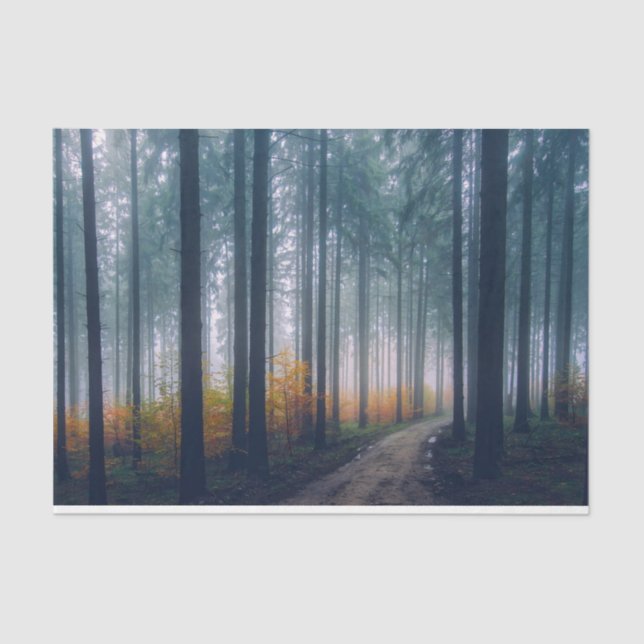 Waldweg 21 Dekoupage Tissue Paper Seidenpapier (Vorderseite)