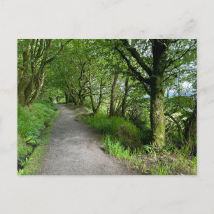 Waldweg auf der Isle of Bute Schottland an einem Feiertagspostkarte