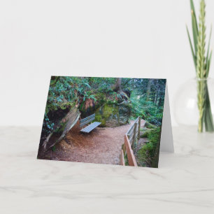 Waldweg-Bank-leere Karte