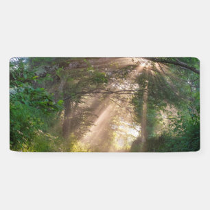 Waldweg Banner