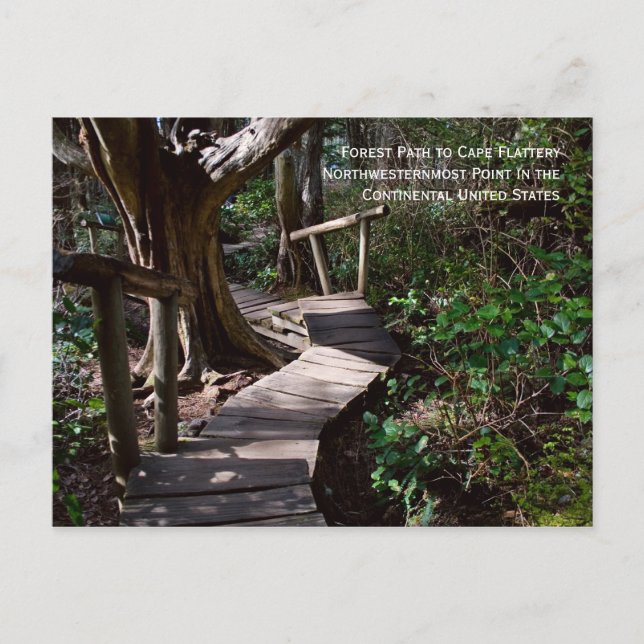 Waldweg bis Kaplatte Postkarte (Vorderseite)