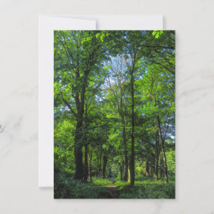 Waldweg. Blackweir Woods, Cardiff, Wales. Karte