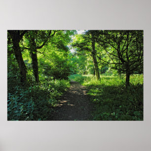 Waldweg. Blackweir Woods, Cardiff, Wales. Poster