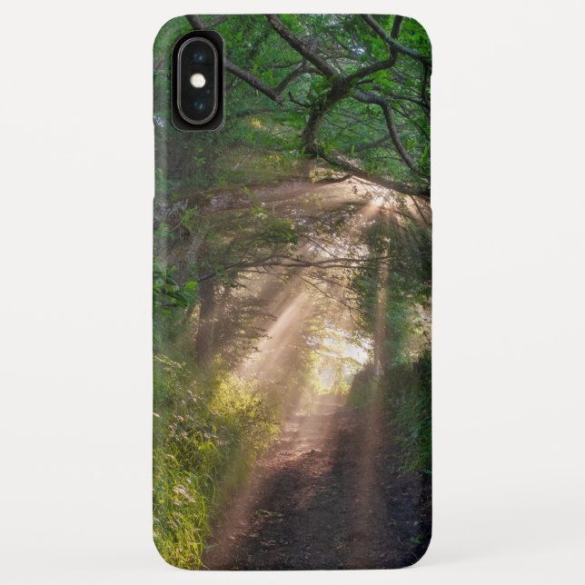 Waldweg Case-Mate iPhone Hülle (Rückseite)