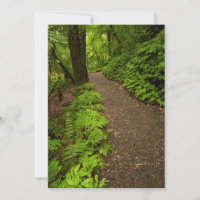 Waldweg