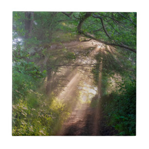 Waldweg Fliese