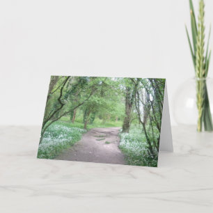 Waldweg-Foto-Gruß-Karte Karte