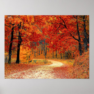 Waldweg, Herbst Poster
