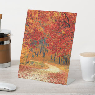 Waldweg, Herbst Sockelschild