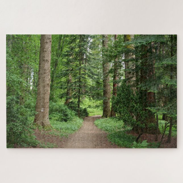 Waldweg, Hochland, Schottland Jigsaw Puzzle (Horizontal)