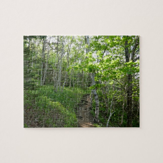 Waldweg im Acadia National Park Puzzle (Horizontal)