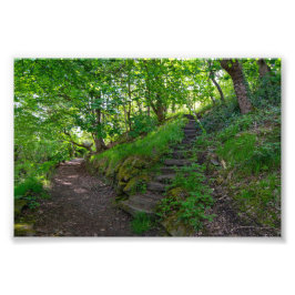 Waldweg im Allan Park Sowerby Bridge Fotodruck