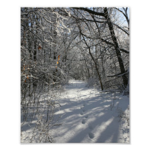 Waldweg im Winter Fotodruck